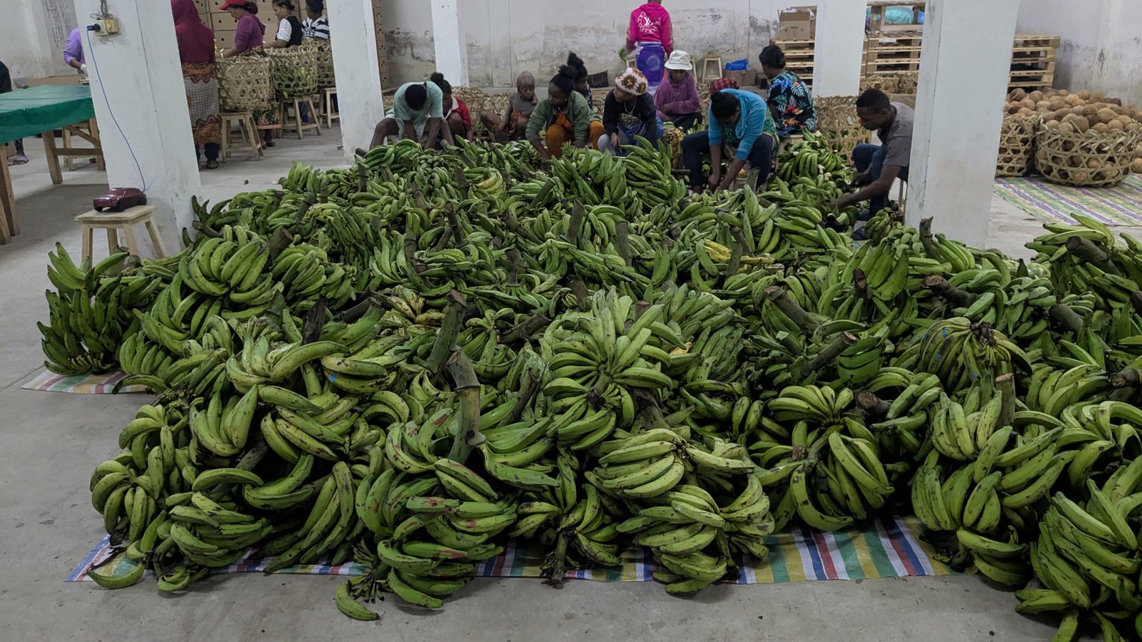 Découpe banane plantains