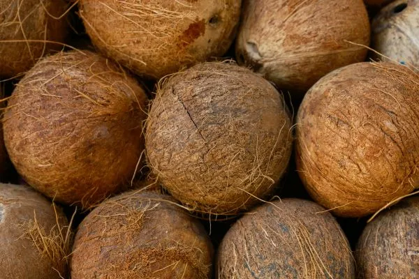 Noix de Coco